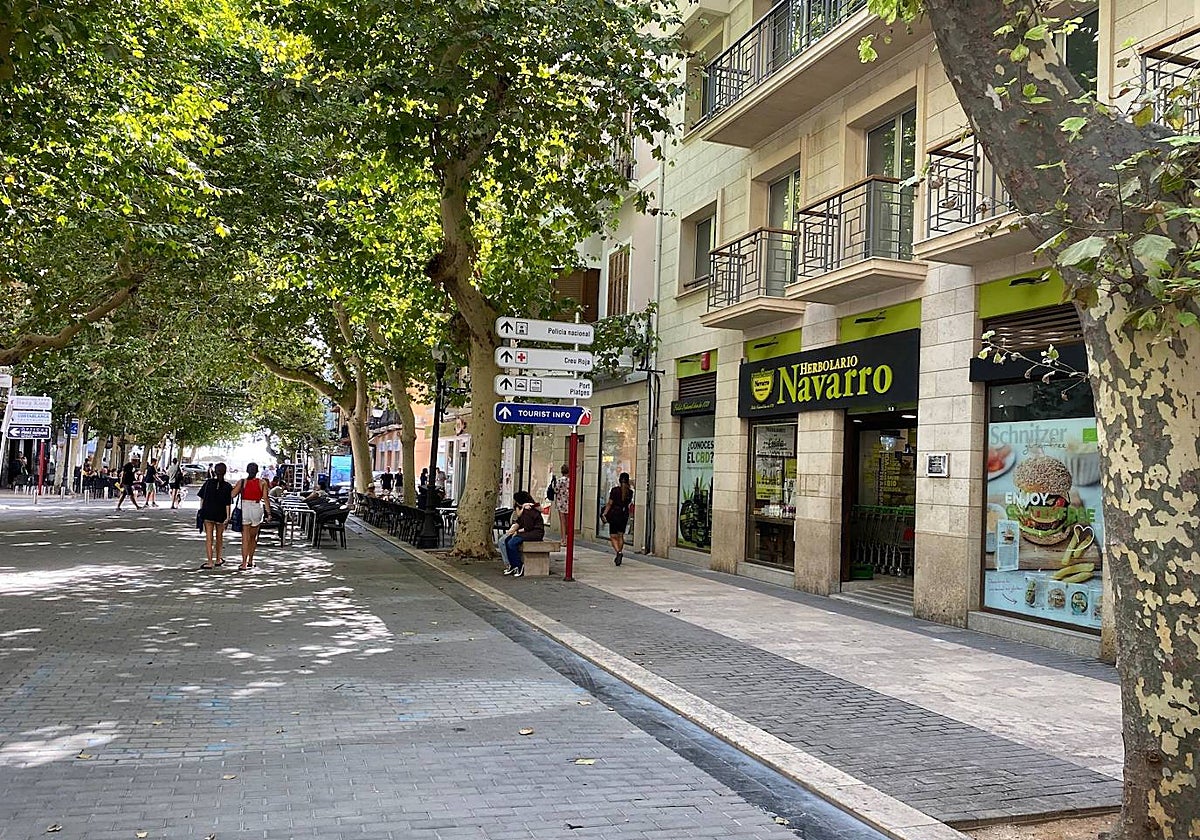 Herbolario Navarro Valencia Herbolario Navarro pone el foco en las